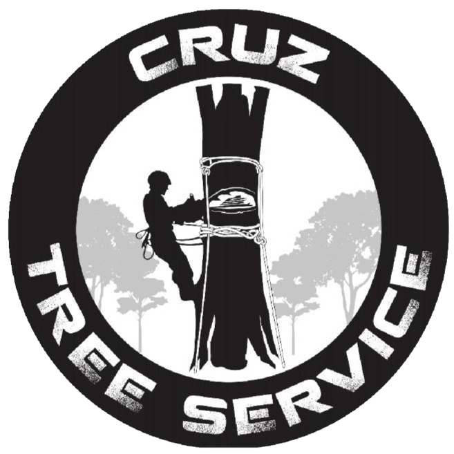 Cruz Tree Service Seaside CA Tree Services Tree Company